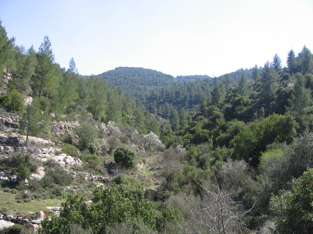[IMG_0843.JPG]