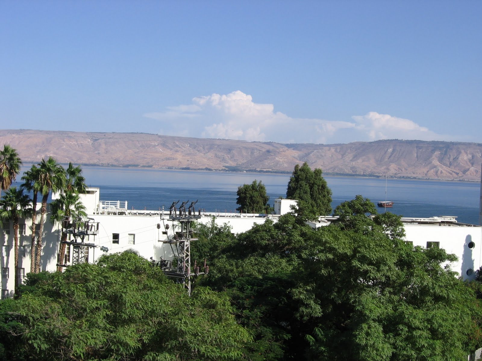 [IMG_0162.JPG]