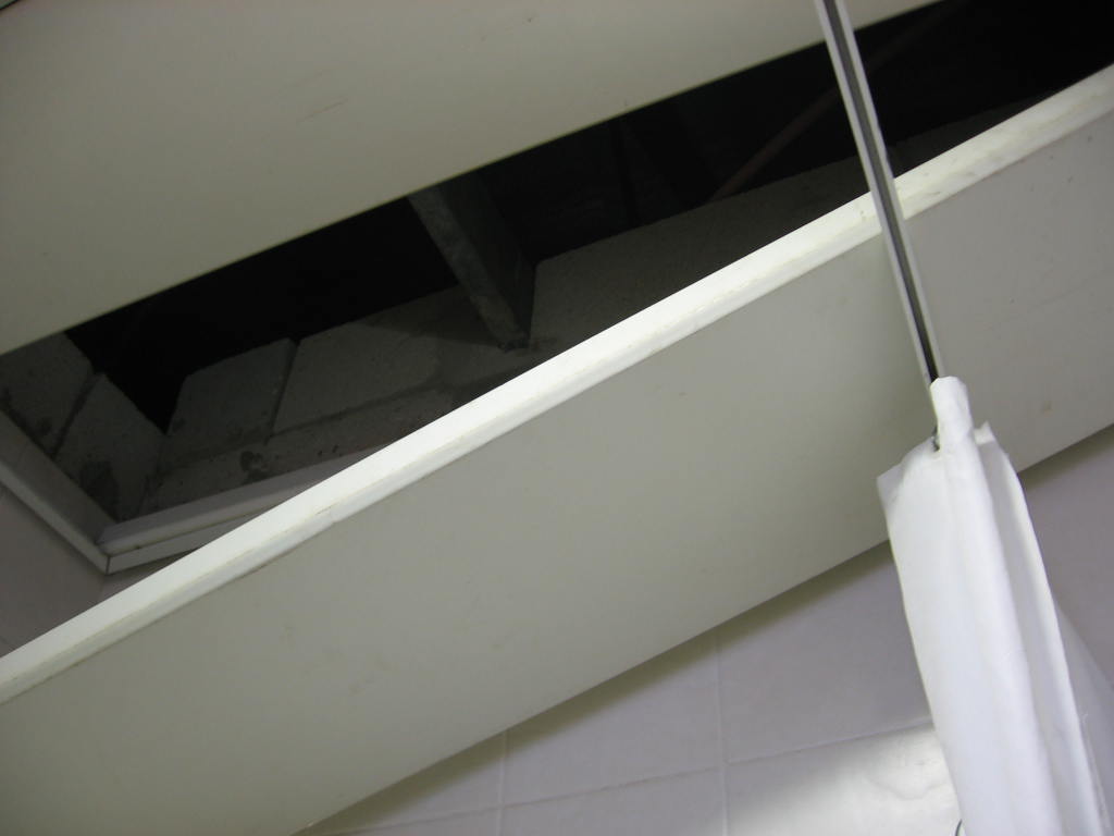 [IMG_0286.JPG]