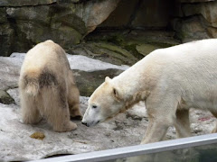 Gianna,Knut ...And the call of nature