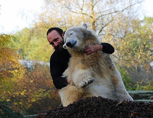 Knut with zookeeper Thomas Doerflein
