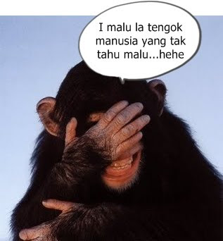 http://4.bp.blogspot.com/_SV8LDLw0w-Y/TDafOMjnNtI/AAAAAAAADaM/WzYGhHeFpW0/s320/monyet+malu.jpg