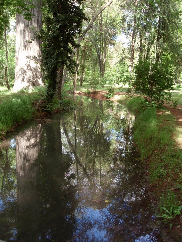 [Aranjuez-Jardin+del+Principe+02.jpg]
