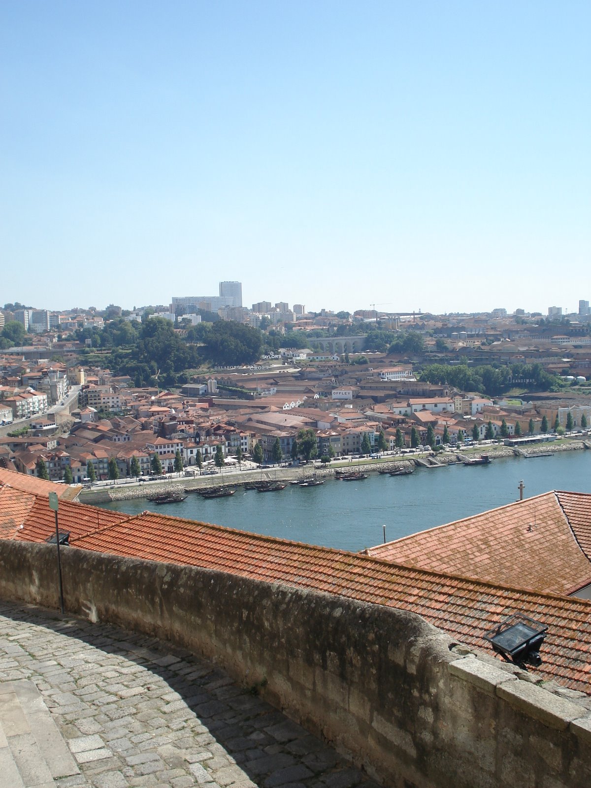[DSC00663.JPG]