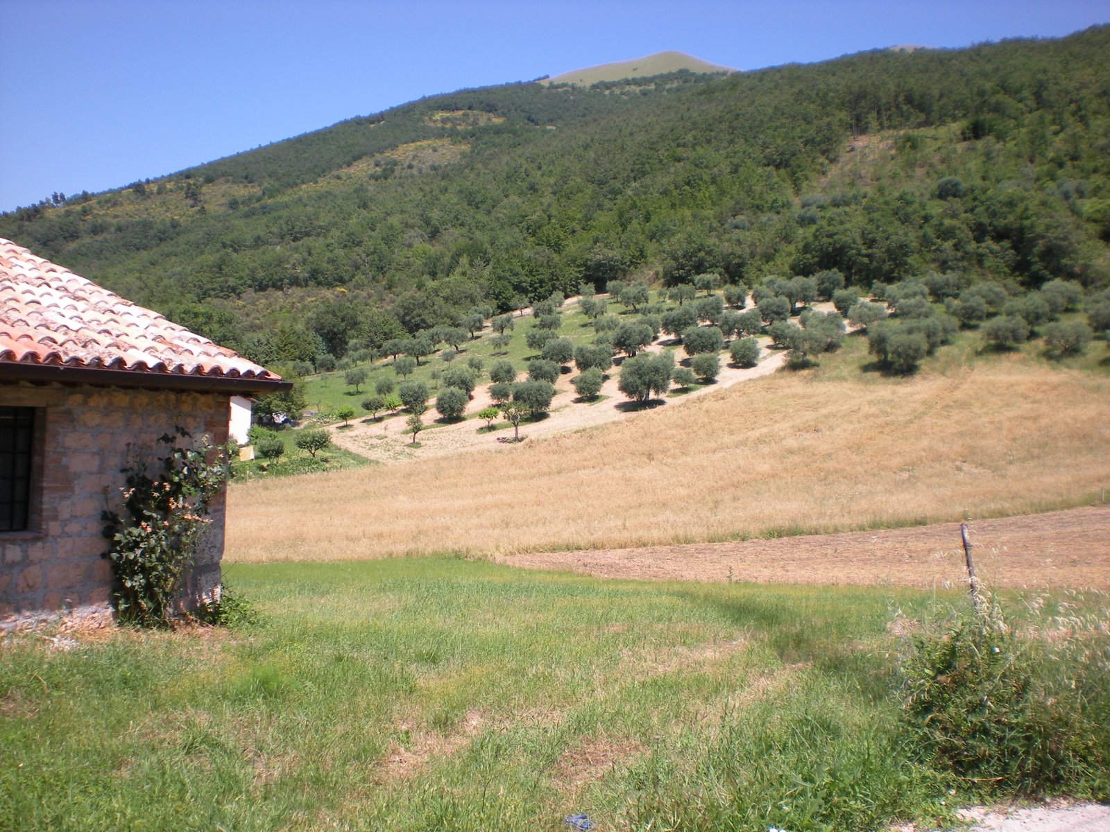 [DSCN0197.JPG]