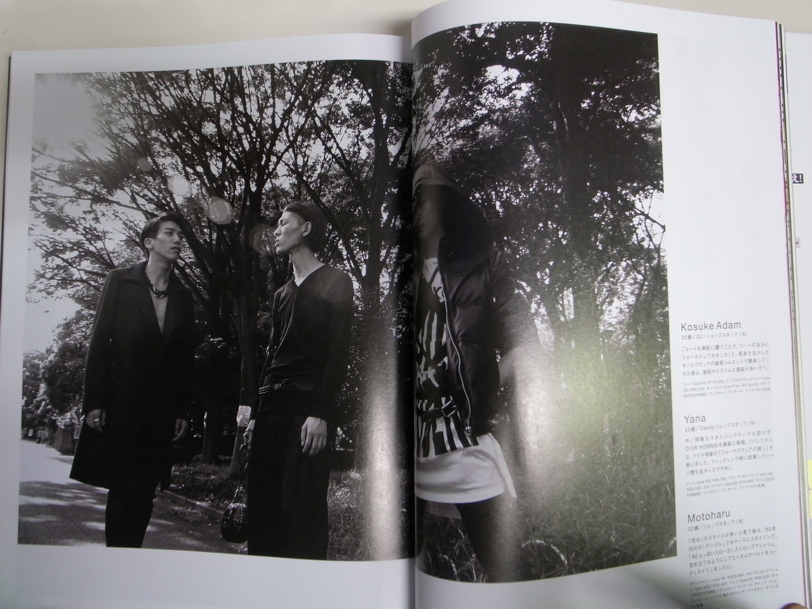 [R0012965.JPG]
