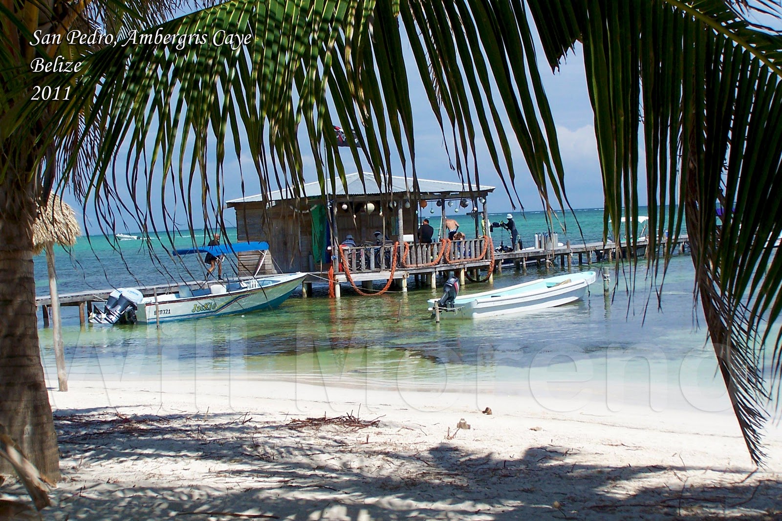 Platinum International Real Estate and Investments Belize Division