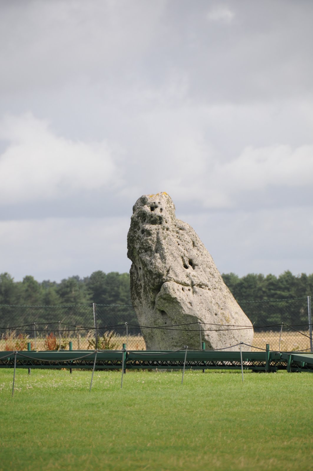 [DSC_1124.JPG]