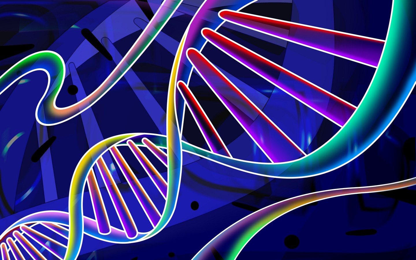 Download: HTC Droid DNA Wallpapers ~ iSozial