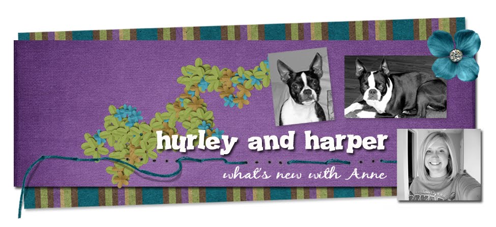 Hurley and Harper