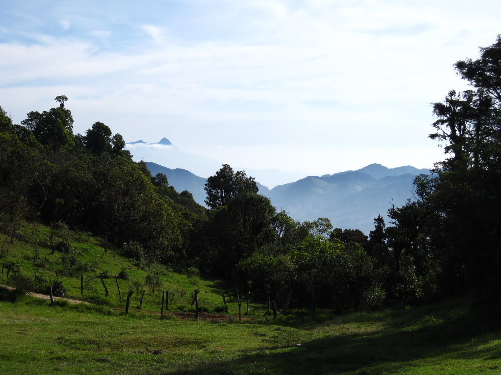 El Pital