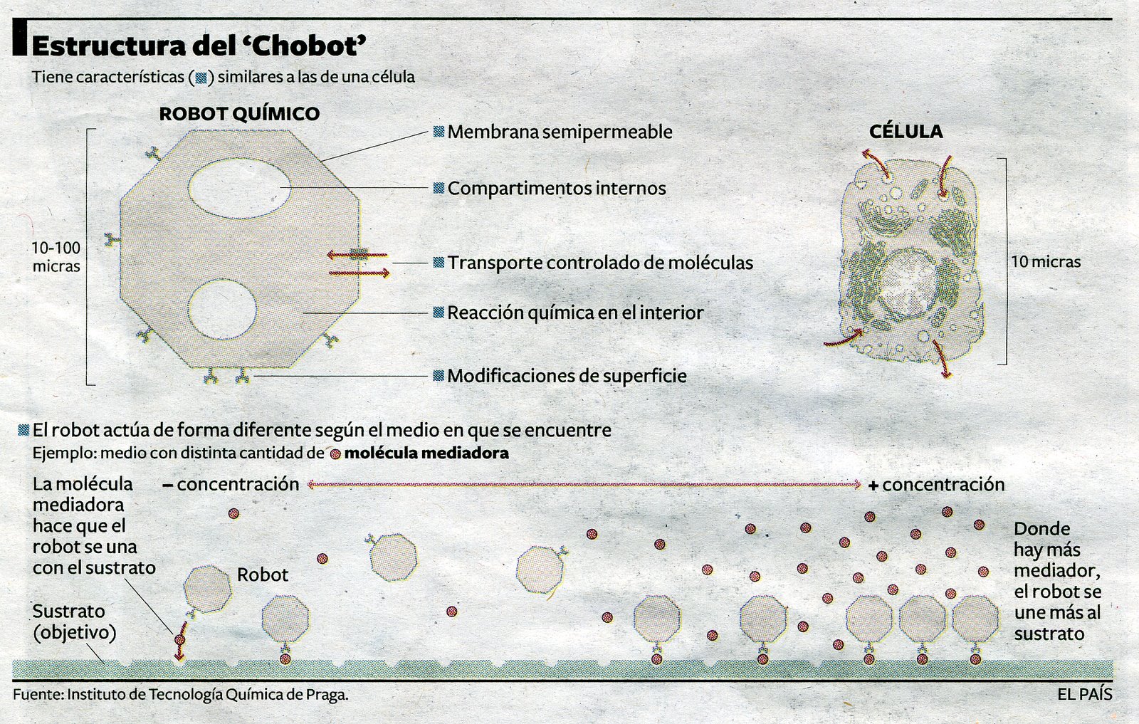 [celulas+artificiales.bmp]