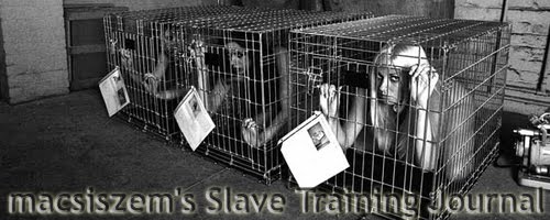 macsiszem's Slave Training Journal