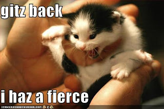 funny-pictures-kitten-is-sort-of-fierce%5B1%5D.jpg