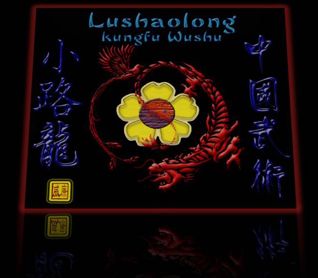 Lushaolong scuola kungfu wushu