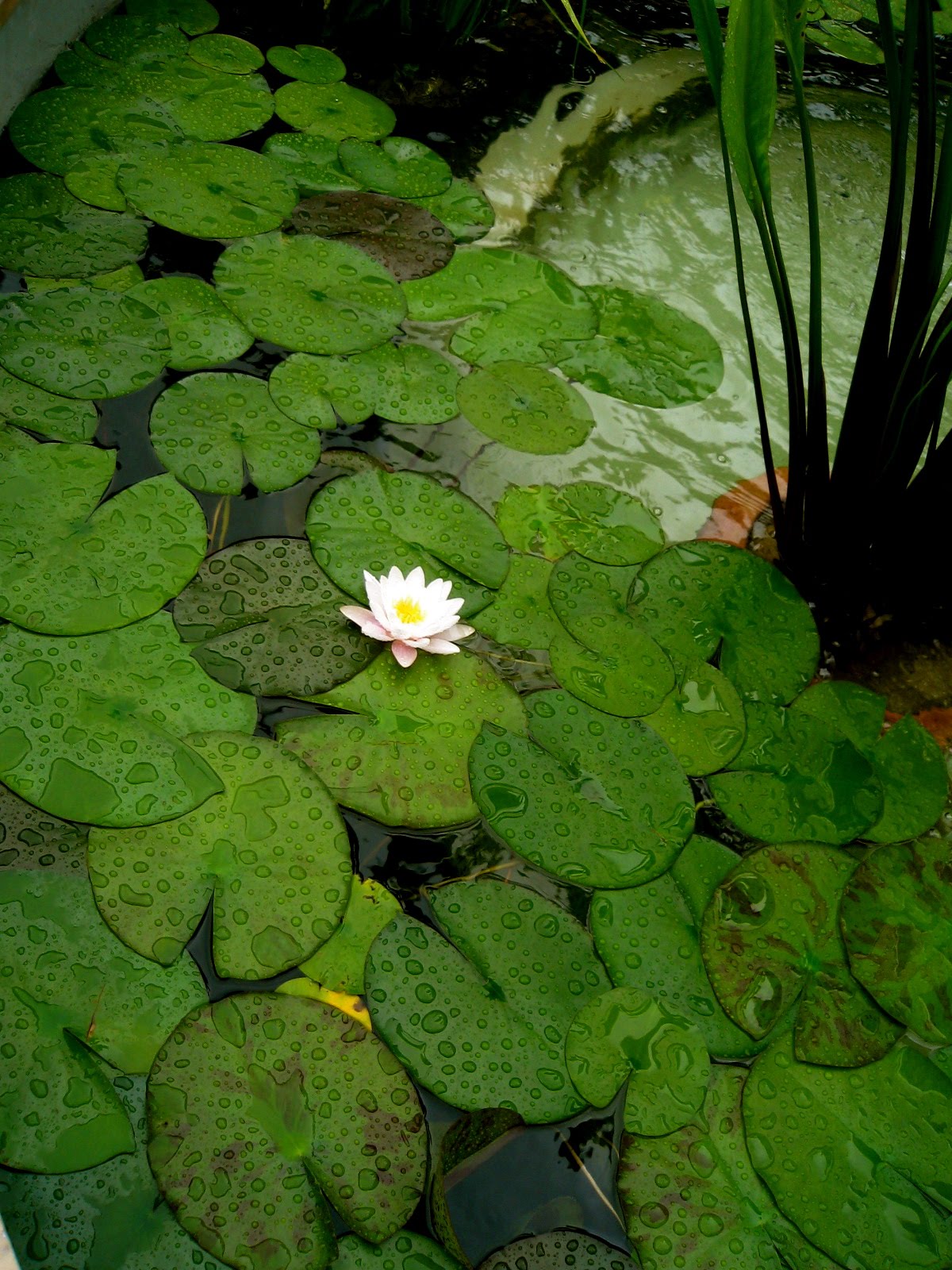 [IMG_0436.JPG]