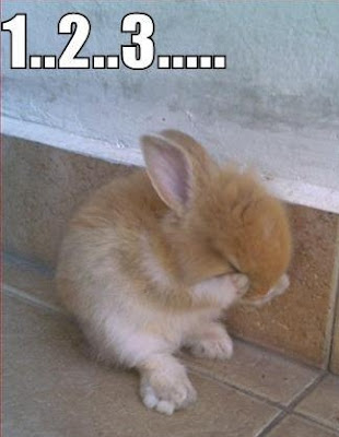 bunday