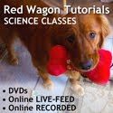 Red Wagon Tutorials - Science Classes
