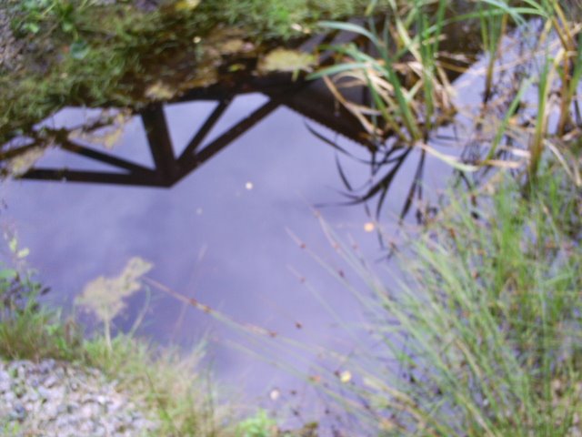 [S5030061.JPG]