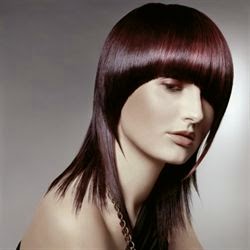 [st%20STRAIGHT%20end3_orig_large.jpg]