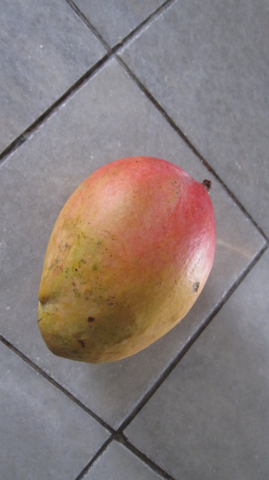 mintagehome The Dish Mango and Cayenne Pepper