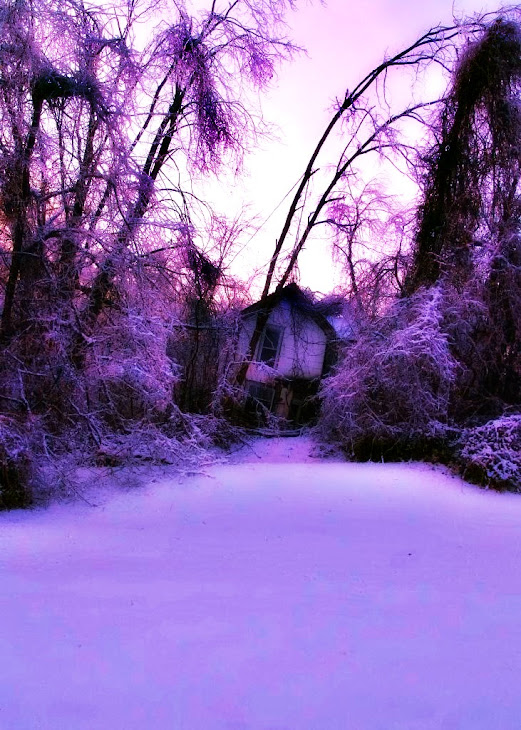 Winter Witch House