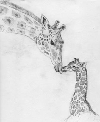 [GiraffesSketch.jpg]