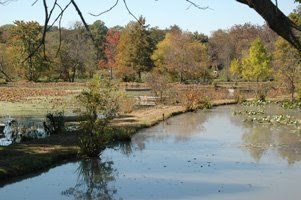 3+ Wonders of Kenilworth Aquatic Gardens ponds 3+ Wonders of Kenilworth Aquatic Gardens