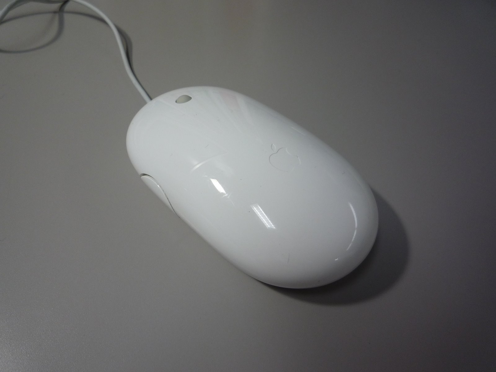 [P1000630.JPG]