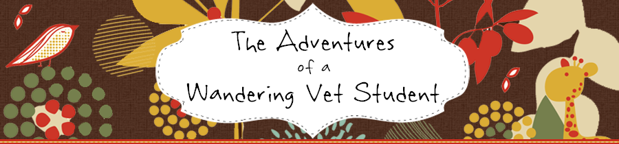 The Adventures of a Wandering Vet Student