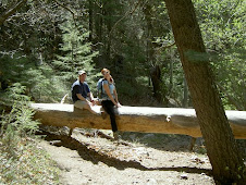 Resting on the Trail