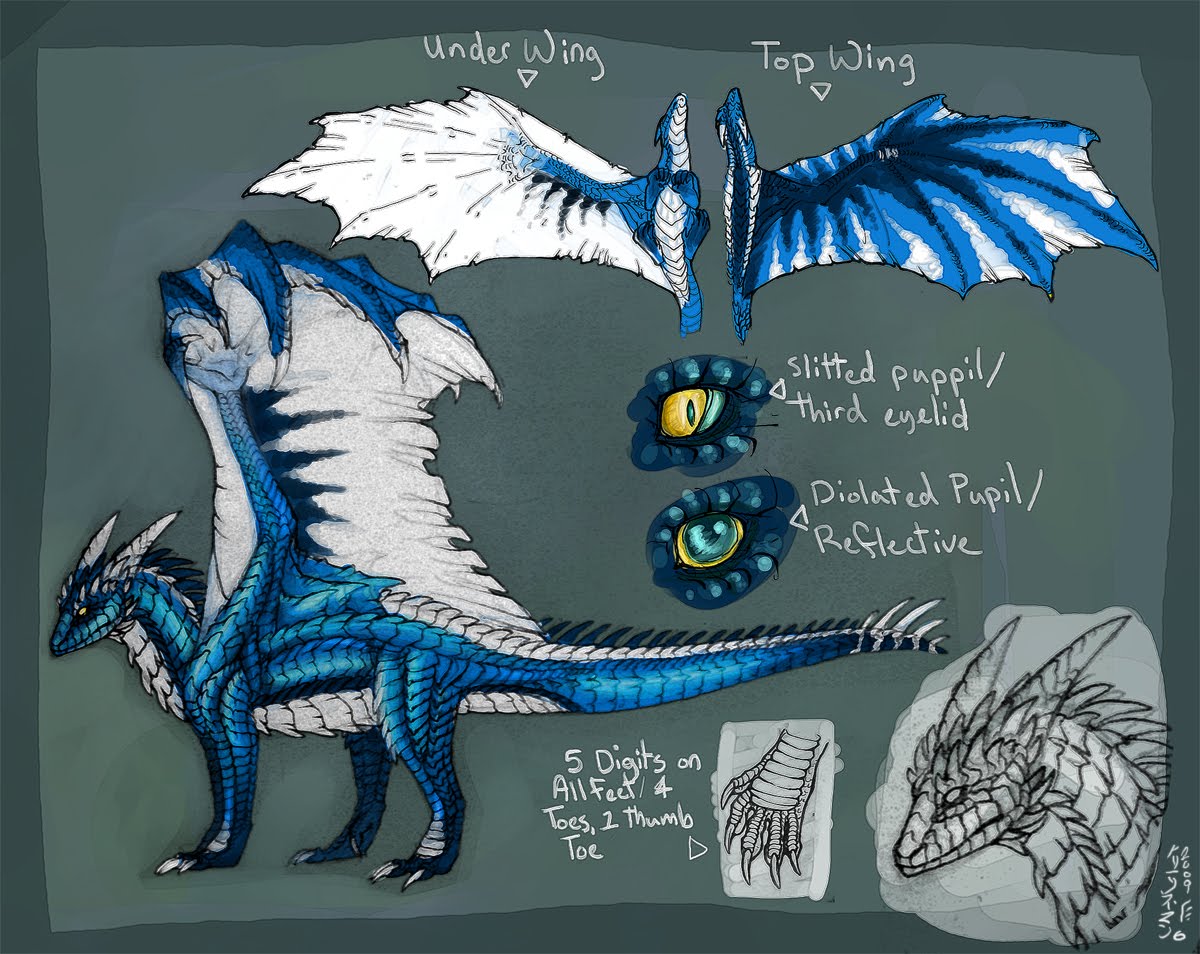 [Flare+Ref+Sheet3.jpg]