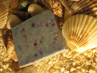 [piedra+pómez.jpg]