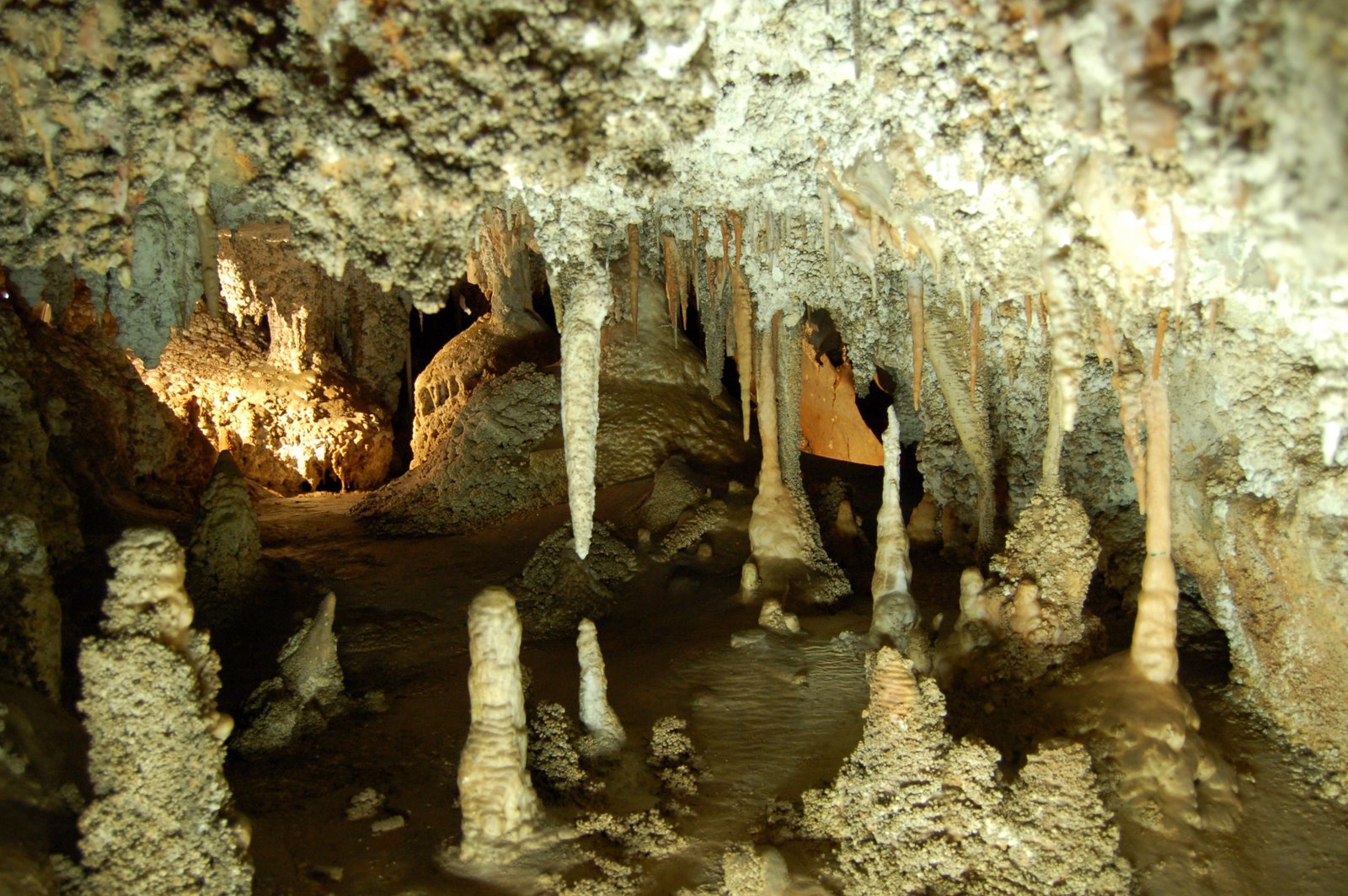 [DSC_0412.JPG]