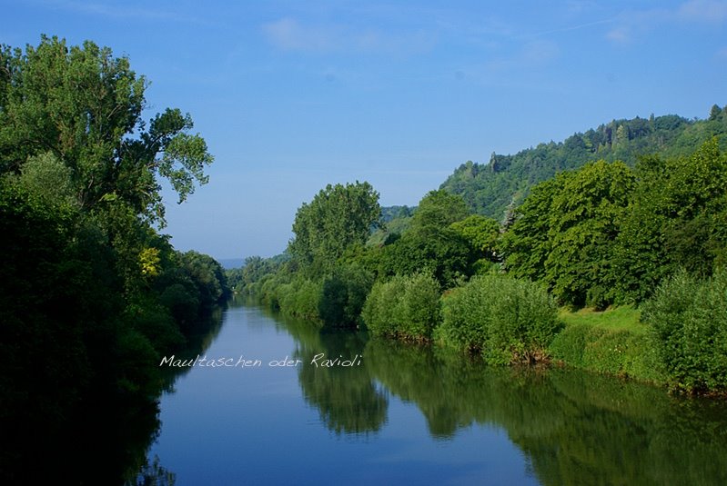 [neckar.JPG]