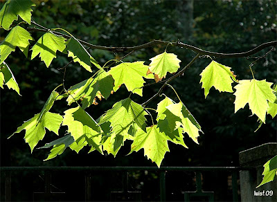 OCIO y CULTURA : Parque Campo Grande. Valladolid.