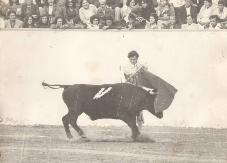 MATADOR DE TOROS