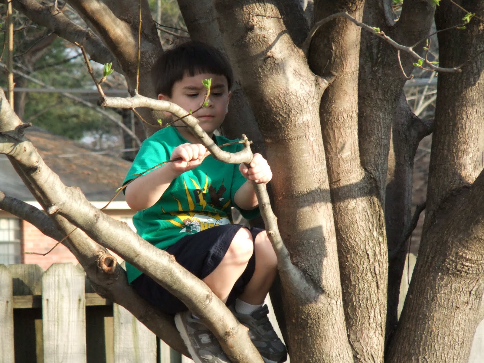 [2009_0102Hank0022.JPG]