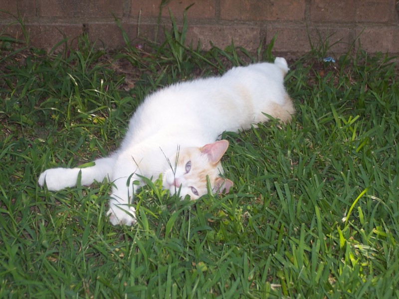 [232323232%7Ffp3%3A5%3Enu%3D326%3A%3E739%3E635%3EWSNRCG%3D3235%3C4%3C7694%3B%3Anu0mrj.jpg]