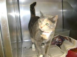 [MS04_14193497-1-pn.jpg]