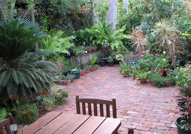 My Dry Tropics Garden: My Place Part 2: The Courtyard Garden - my