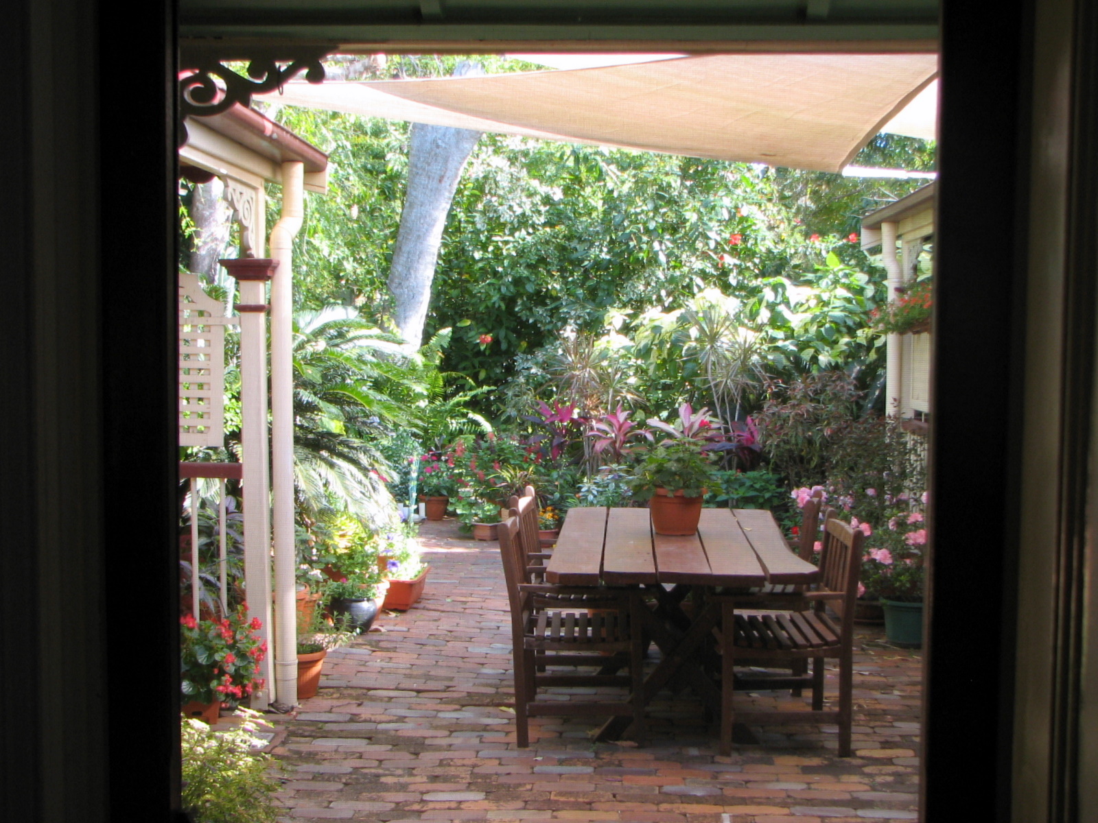 My Dry Tropics Garden: An Inside Out Garden View.
