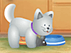 [net_pet.jpg]