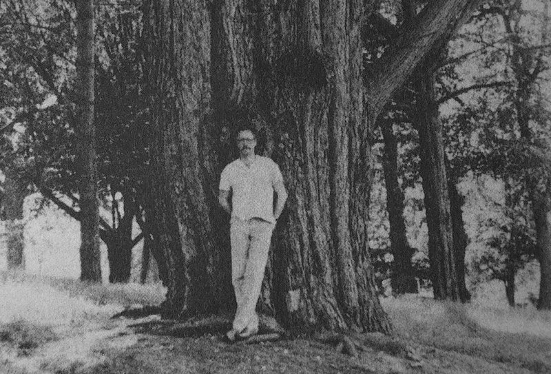 [Sebald.jpg]