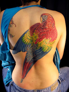 Orange Parrot Tattoo I have one more sitting to go on this tattoo to tighten Orange Parrot Tattoo I have one more sitting to go on this tattoo to tighten