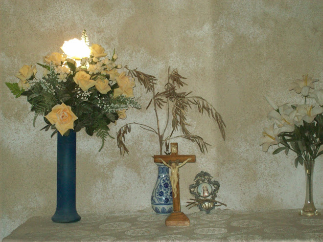 FOTO STUDIO PER UN INTERNO CHIESETTA RAZANAC DALMAZIA