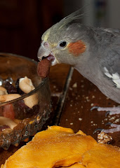 Chiefty loving her Rancho treats