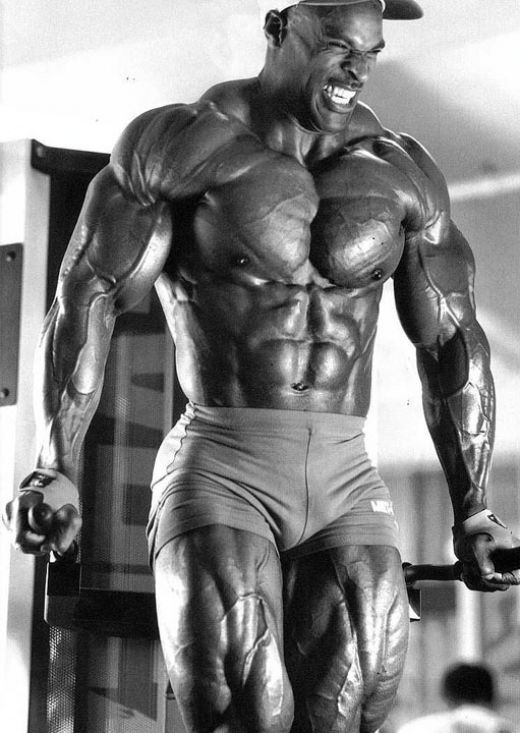 arnold schwarzenegger workout photos. Arnold Schwarzenegger Training