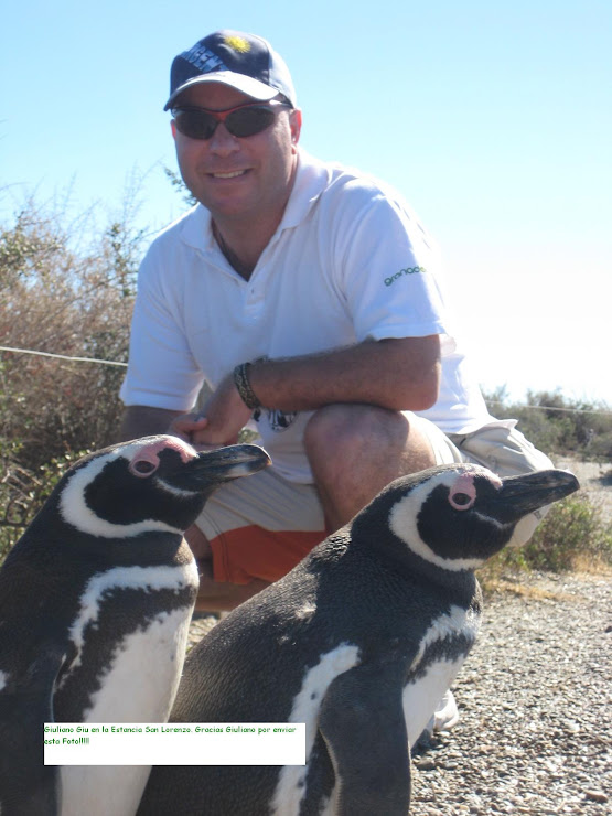 Giuliano En San Lorenzo Con Pinguinos