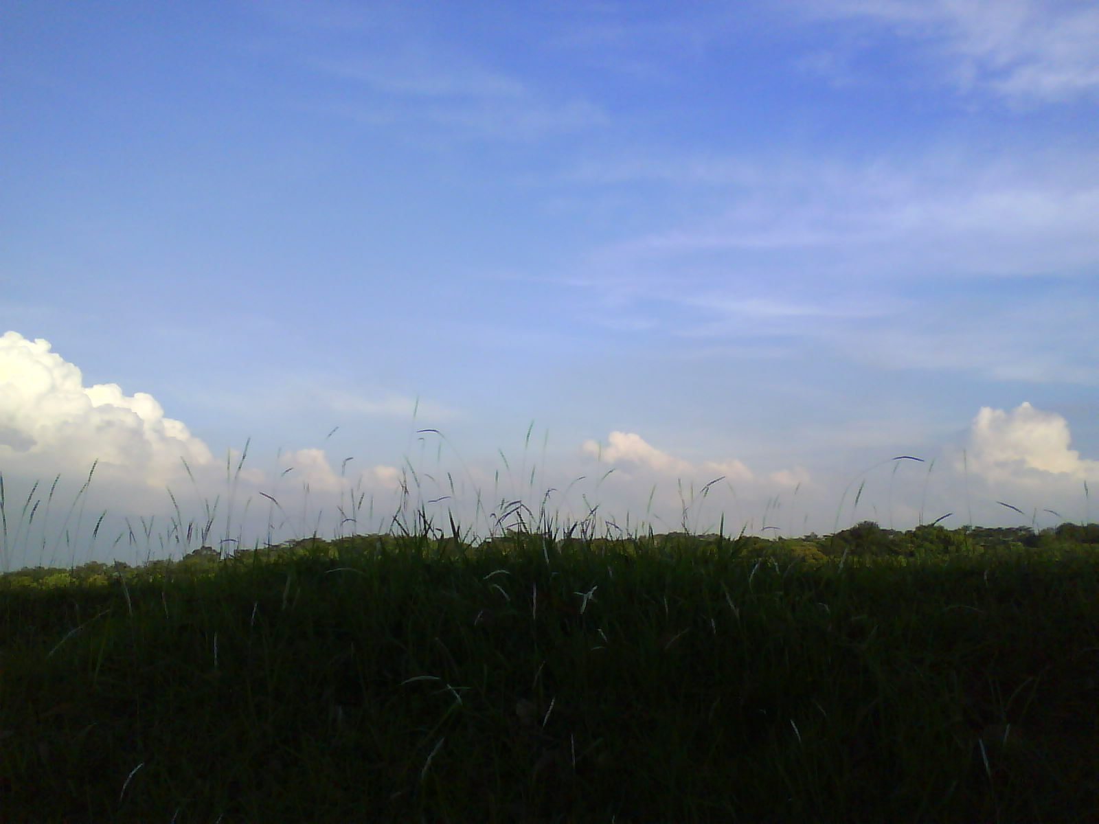 [DSC00068.JPG]
